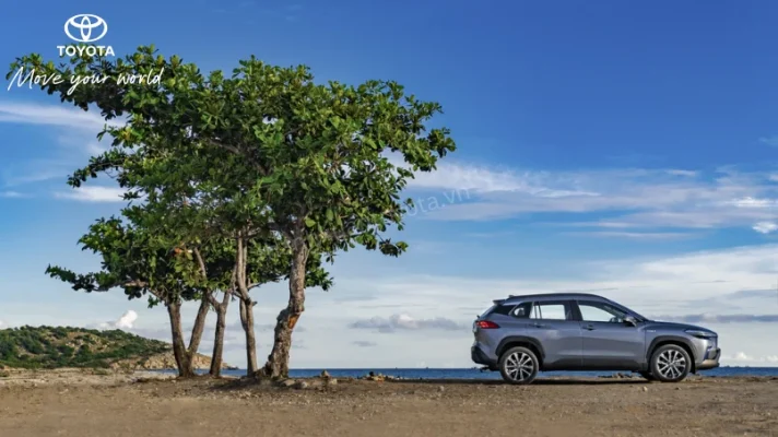 Bảo dưỡng xe Hybrid Bí quyết tiết kiệm chi phí, kéo dài tuổi thọ