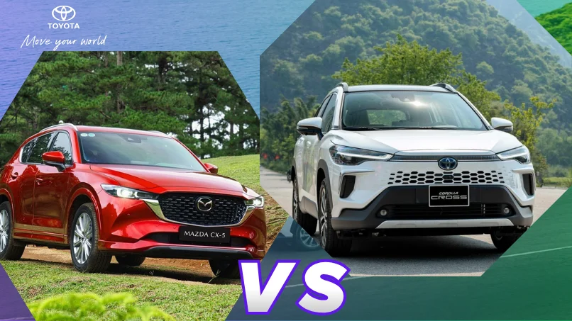 Lựa chọn giữa xe nhập khẩu và xe lắp ráp: Đâu là ưu tiên của bạn?