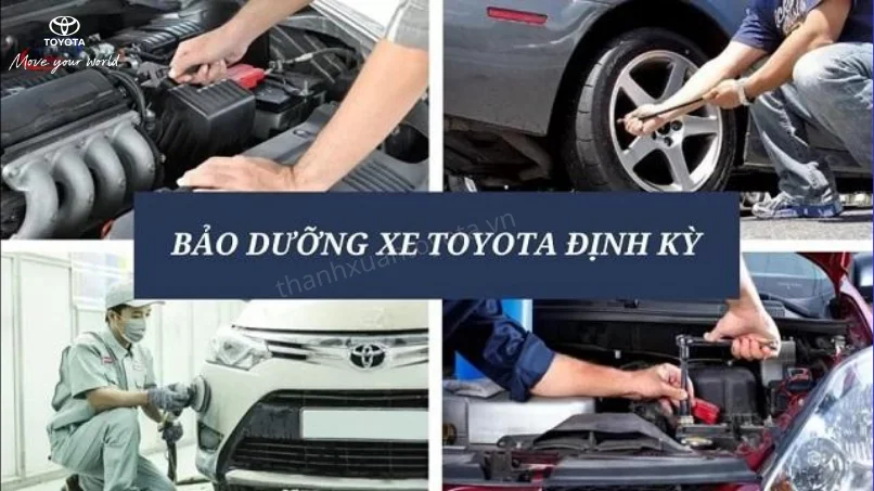 bảo dưỡng xe Vios thực tế